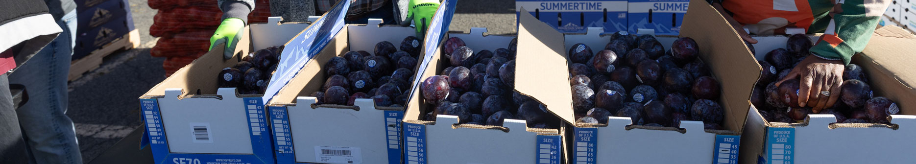 RFB Macedonia Babtist Church Food Distribution