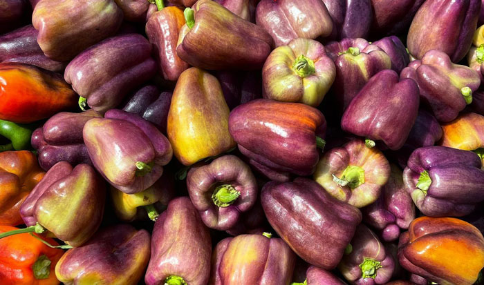 purple peppers