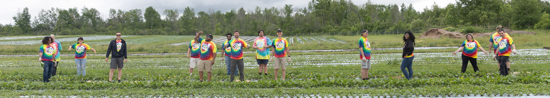 RFB All staff day at the farm