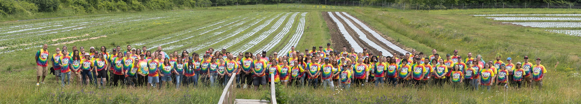 RFB All staff day at the farm