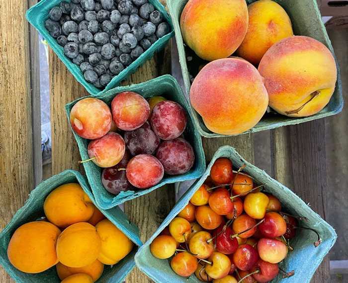 various fruits